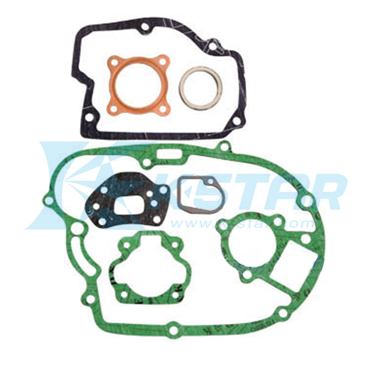 FS1 GASKET COMP SET
