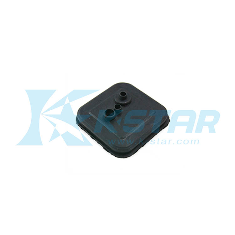 FS1 CAP CARBURETOR