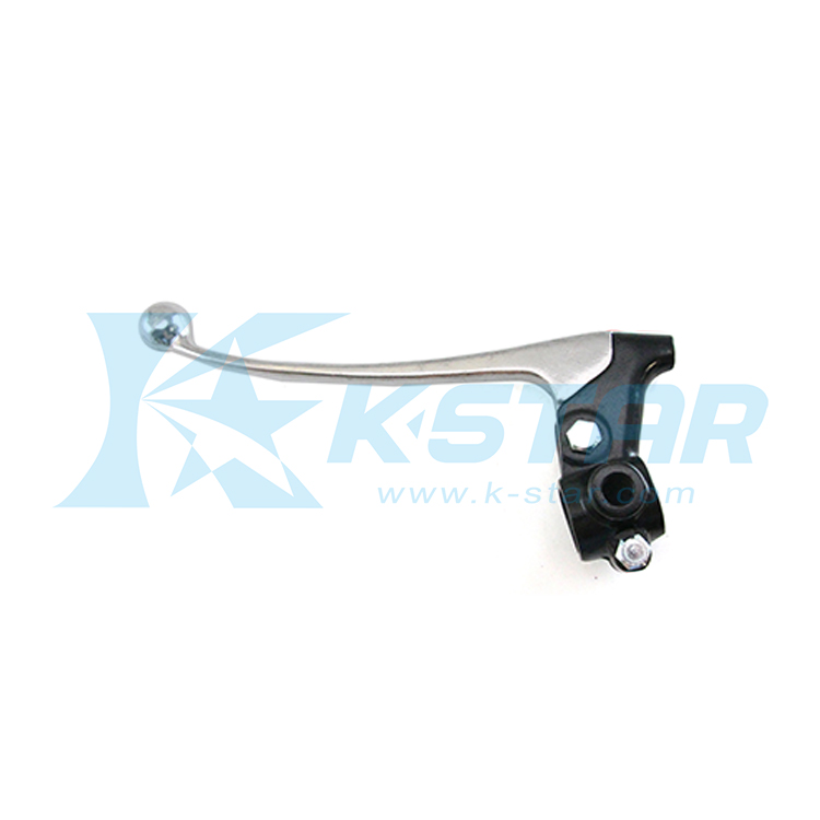FS1 LEVER HOLDER