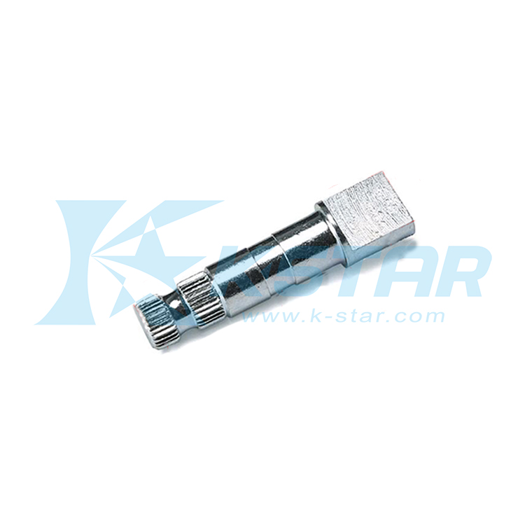 FS1 CAM SHAFT