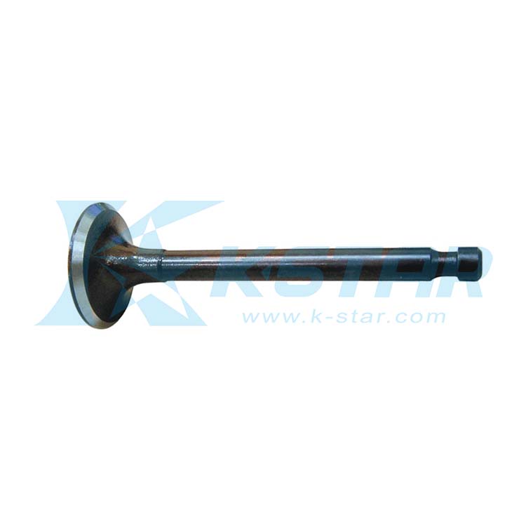 CD50 VALVE INLET