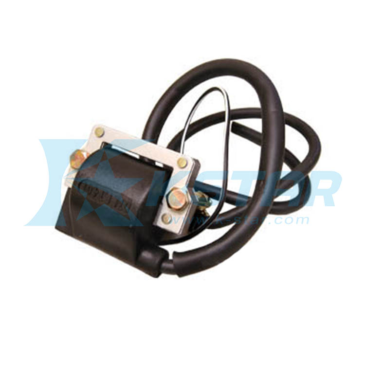 FS1 IGNITION COIL W/BRACKET