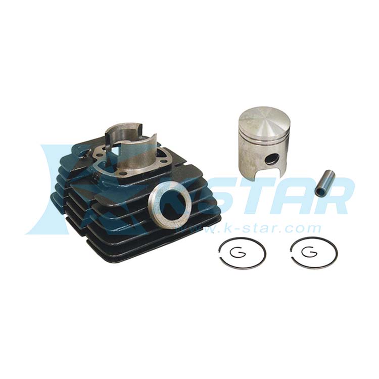 DT50MX CYL KIT
