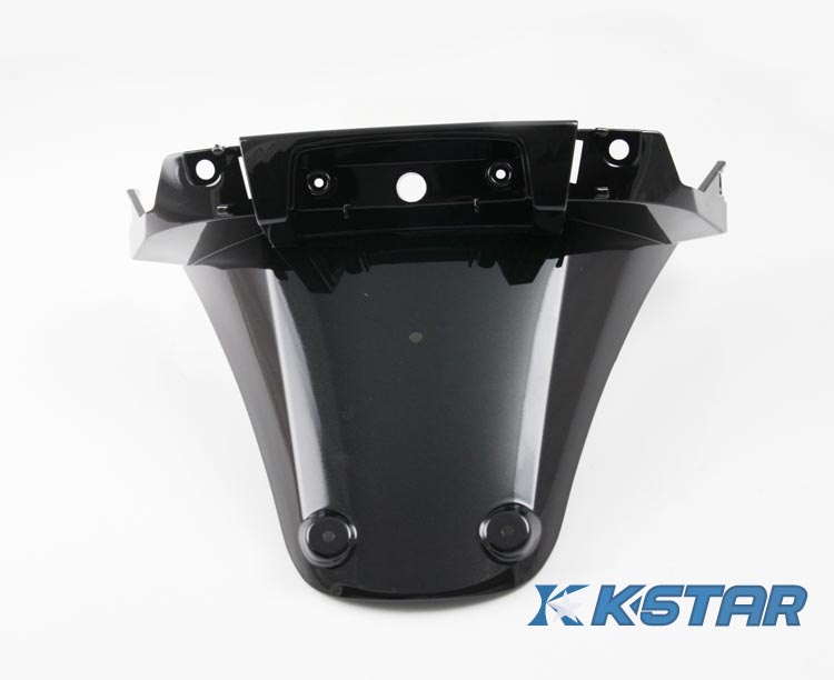 LX BACK LIGHT PLATE W/ PAINTING BLACK
