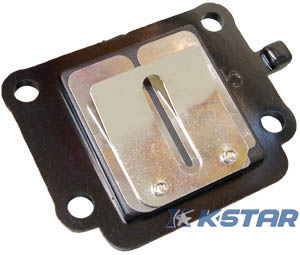 BWS REED VALVE