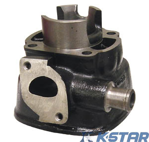 SR50 CYLINDER ONLY