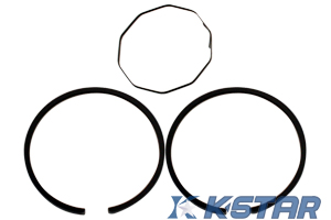 CAMINO PISTON RING SET