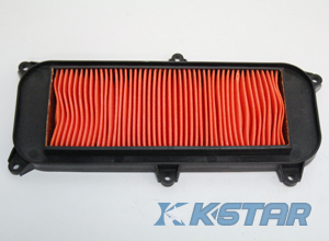 DINK 125 06-07 AIR FILTER