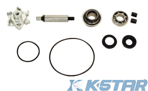 PCX125 WATER PUMP REPAIR KIT