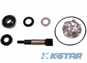 HONDA SH 300 WATER PUMP REPAIR KIT