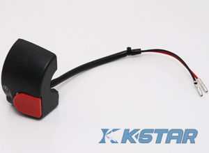 AEROX N/M HANDLE SWITCH RH