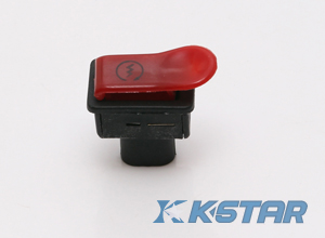 ZIP STARTER SWITCH