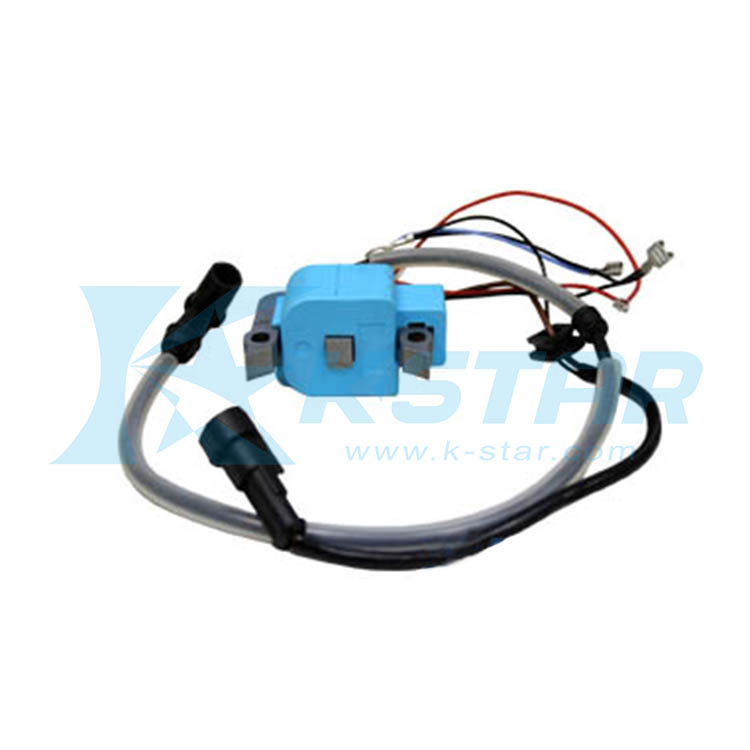 IGNITION COIL