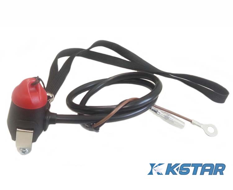 SAFE SWITCH W/MAGNETIC CONTROL