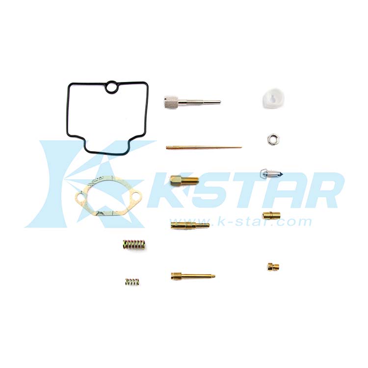 CARBURETOR REPAIR KIT; 14PCS/SET