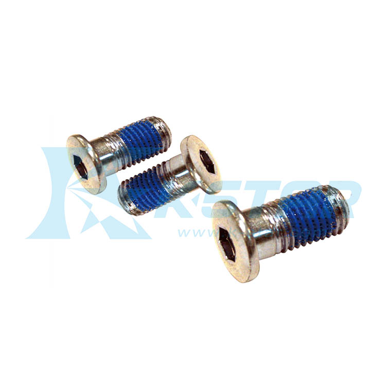 SCREW M10x1.25x20L