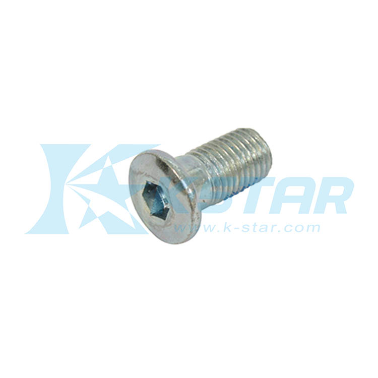 SCREW M10x1.25x20L