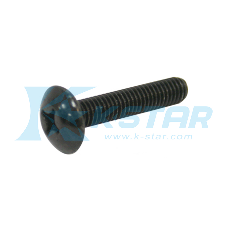 SCREW SET BLACK STAINLESS
