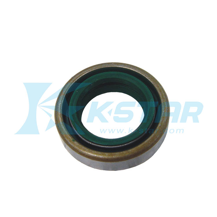 OIL SEAL