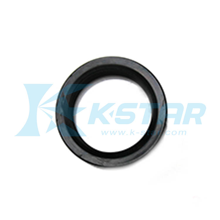 OIL SEAL TCY- BLACK