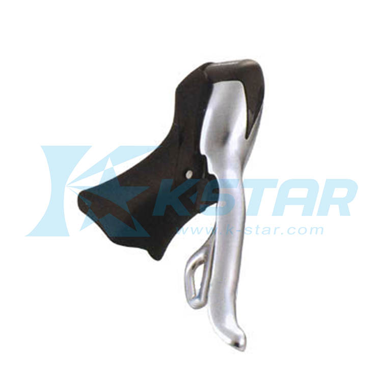DUAL CONTROL LEVER