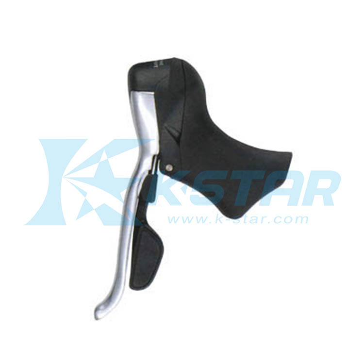 DUAL CONTROL LEVER