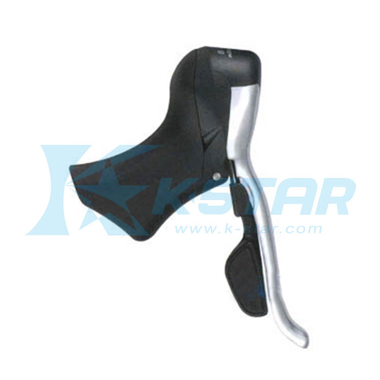 DUAL CONTROL LEVER